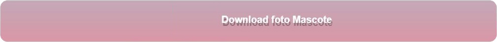 Barra download Barra download